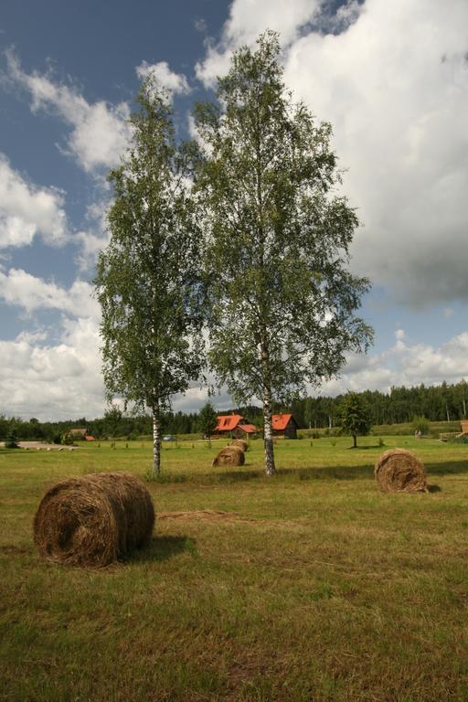 Viesu Nams Rukisi Rugaji Exterior foto